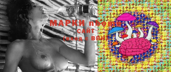 соль ск Алзамай